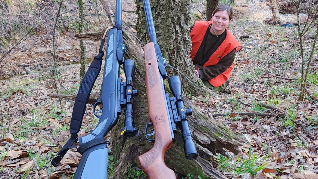 the Gamo Gen3  Bone Collector and Gamo Swarm Fusion leaning on a tree stump.
