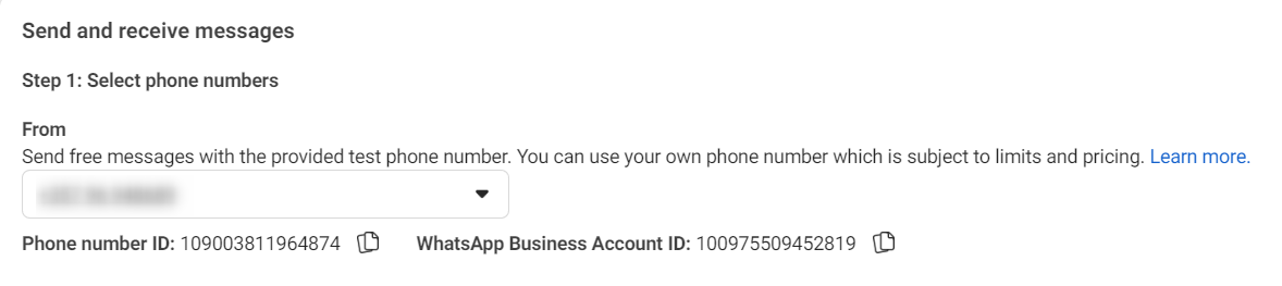 Setting Up Your WhatsApp application Choose Your Phone Number