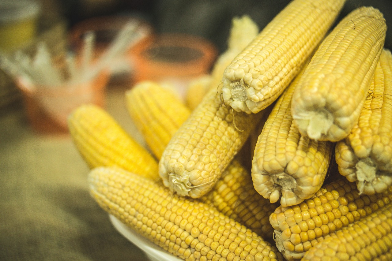 Comidas e Bebidas Tradicionais