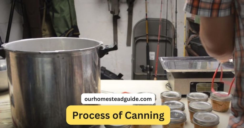 Canning Salmon