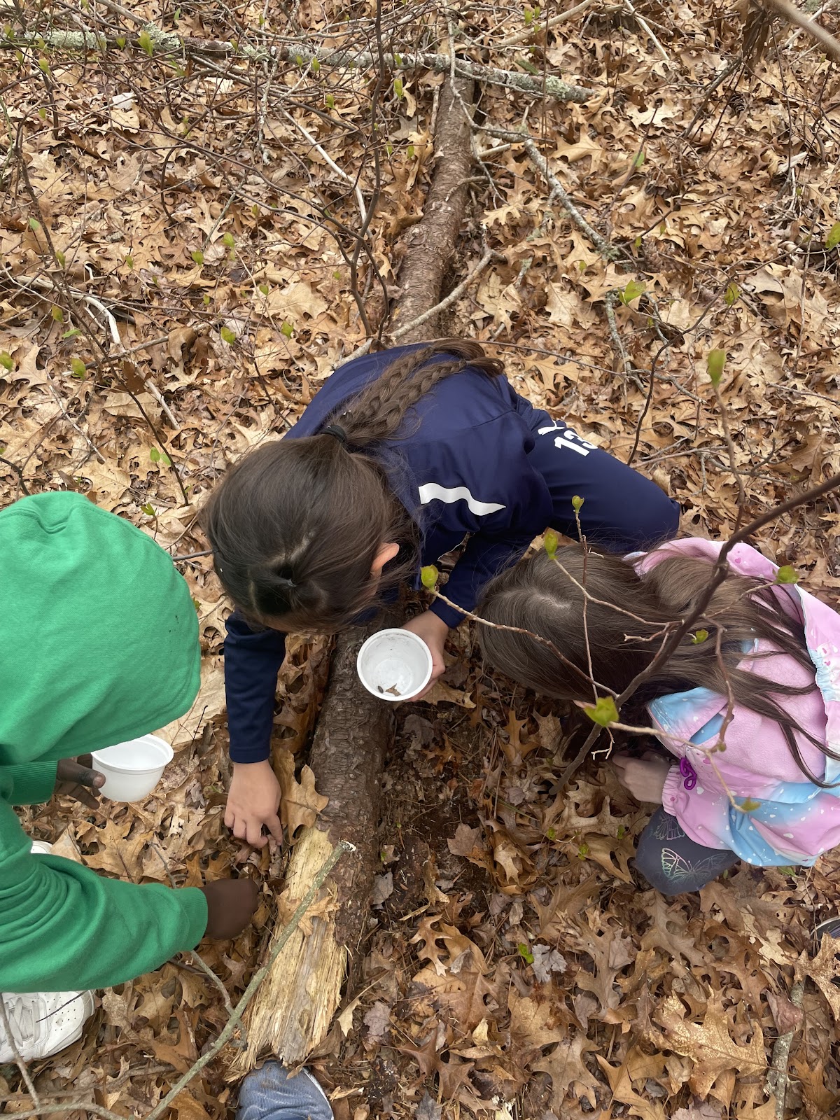 image of two students studying an insect on the ground
