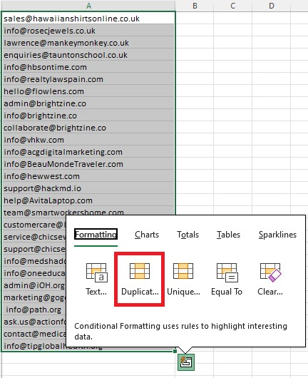 Duplicate option in formatting 