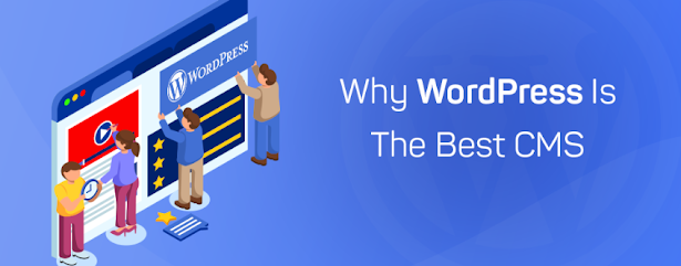 Why WordPress is the best Content Management System