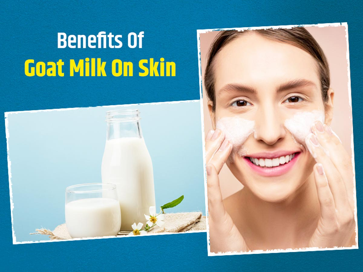 Goat milk is used in the production of cosmetics