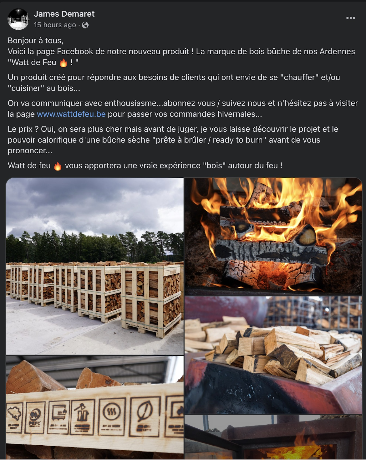 🤠 Pépite #33 : Créer une marque de bois de chauffage