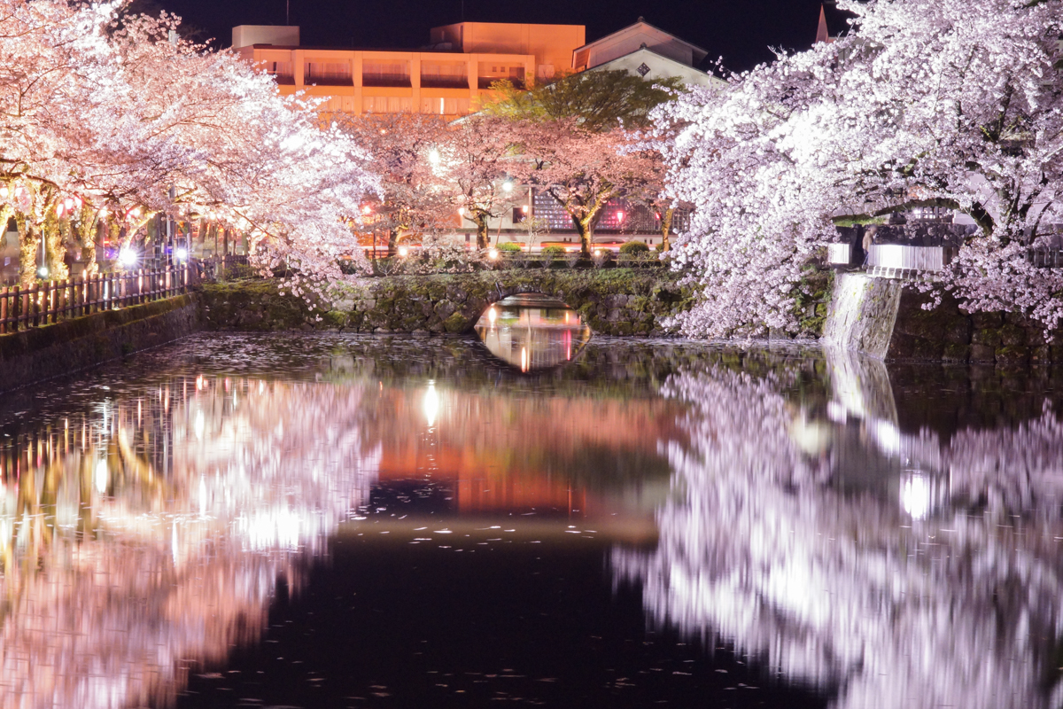 四季を彩るさまざまな花や植物が植えられている