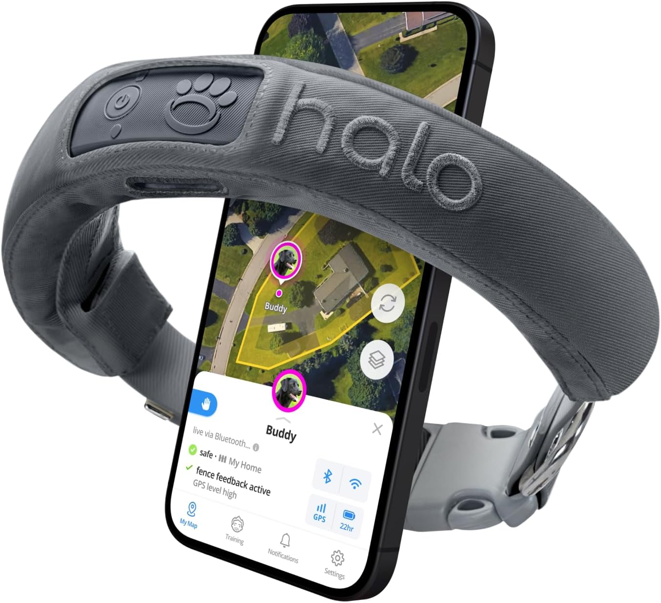 Dog Collars & Tags With Built-In Tracking Devices Better Than AirTag