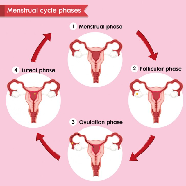 What are the Signs of ovulation after giving birth? 