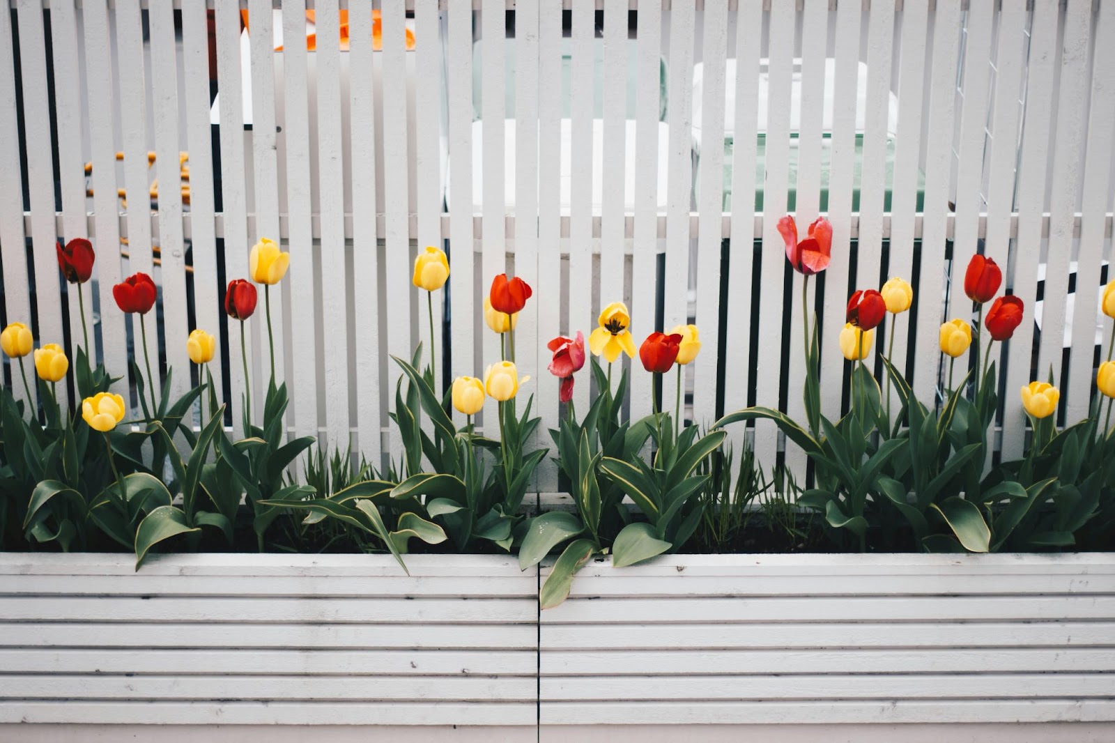Landscape Design