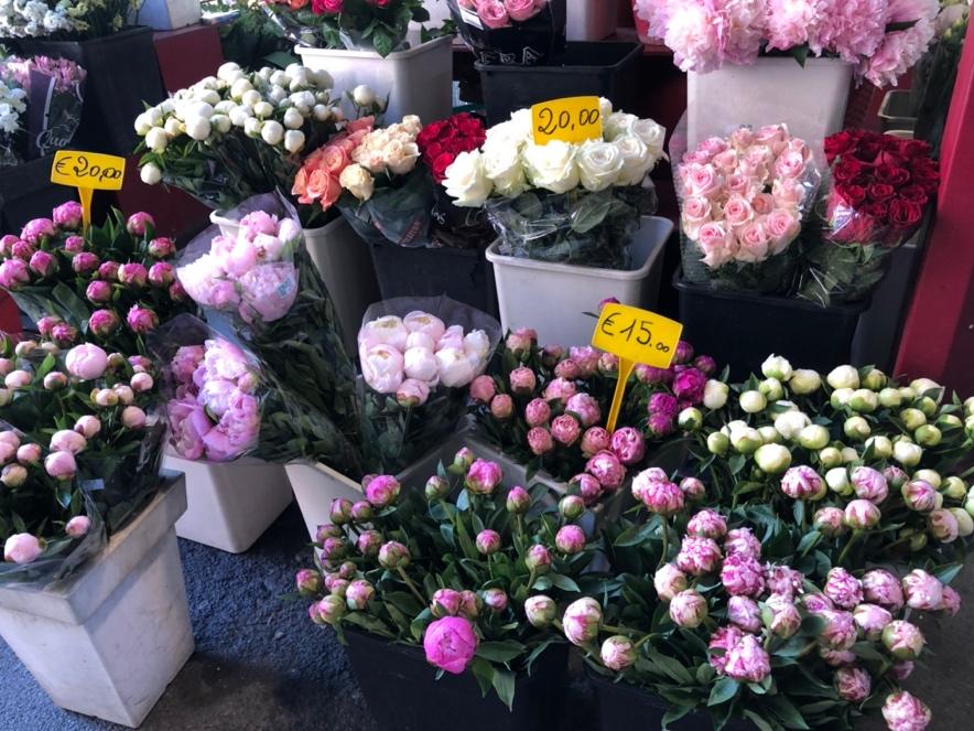 A bunch of flowers in a flower shop

Description automatically generated