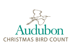 Christmas Bird Count in Connecticut