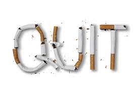 Plant based cytisine help you with your 2024 resolution to quit smoking