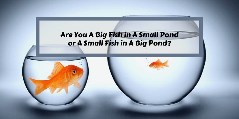 Small Fish-Big Pond Or Big Fish-Small Pond?