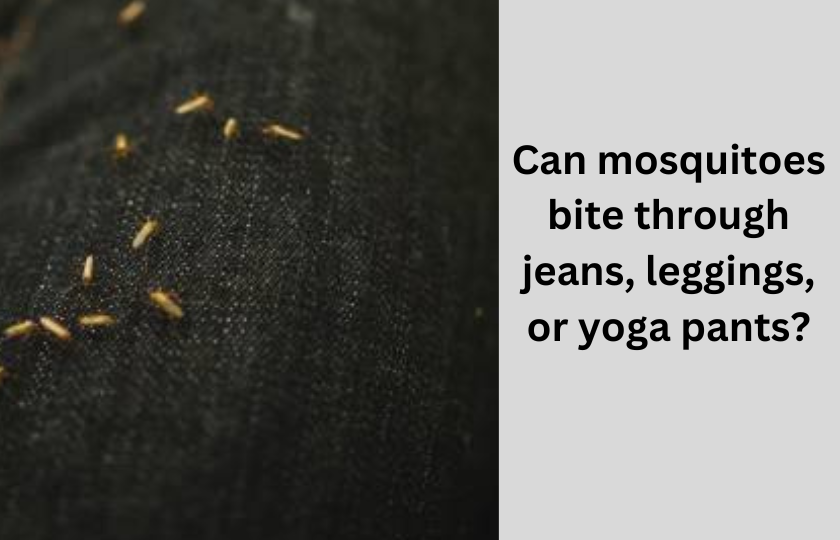 can mosquitoes bite through jeans