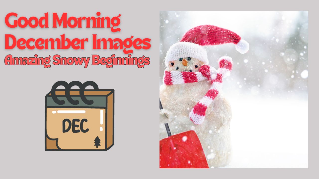 100+ Good Morning December Images: Amazing Snowy Beginnings
