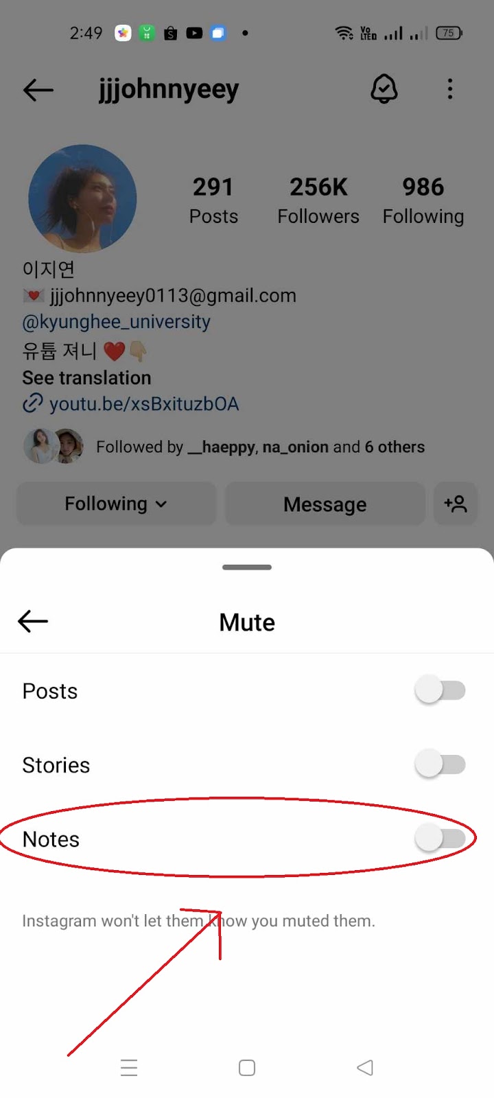 Instagram Notes Not Showing - Untoggle Notes