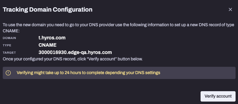 Hyros’ DNS setup shows the settings you need to tweak to make your domain configurations active on Hyros.