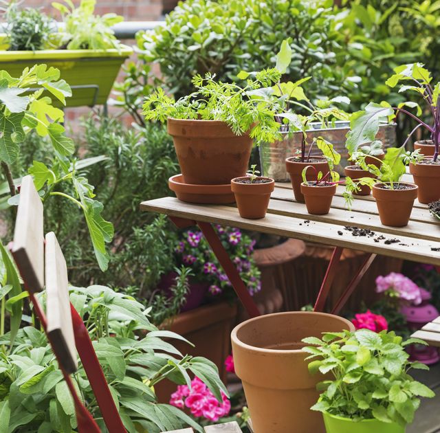Transform Your Space Home Garden
