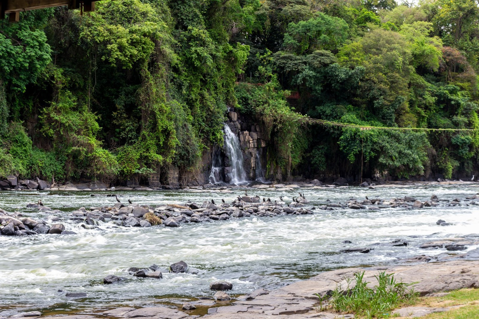 Trecho do Rio Piracicaba. As águas escuras correm por entre pedregulhos e há uma pequena queda d’água saindo de um trecho de mata situado na beira do rio