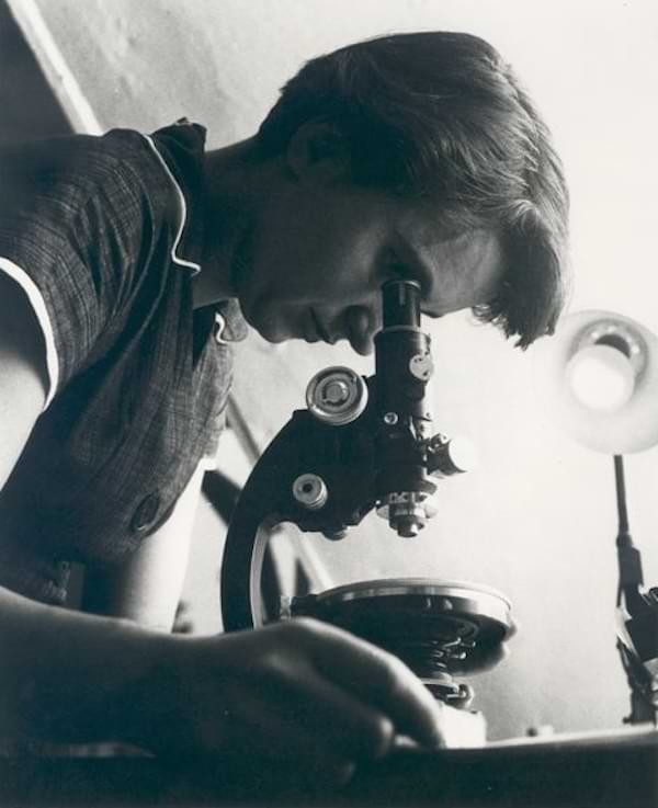 Rosalind Franklin at work, 1955