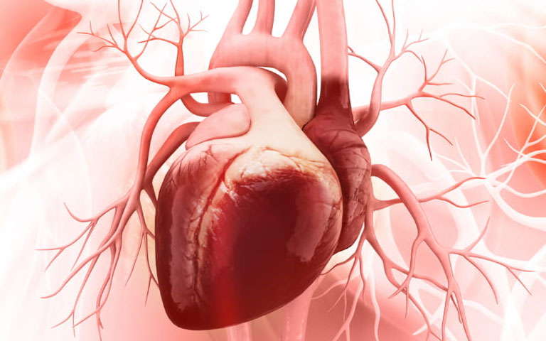 Phân độ suy tim theo Hiệp hội tim mạch New York