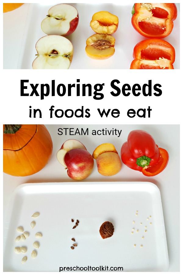 exploring seeds in foods we eat preschool activity