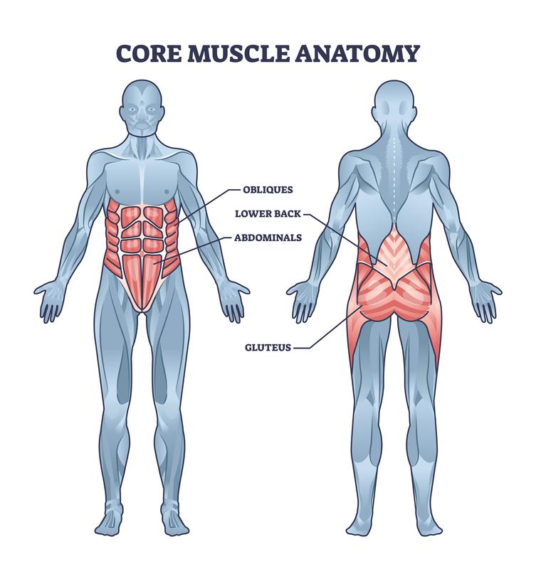 A diagram of a person's bodyDescription automatically generated