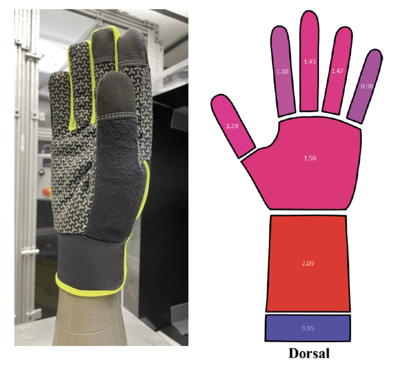 image of glove on a mannequin hand on left, drawing/diagram of a hand from a dorsal view on the right