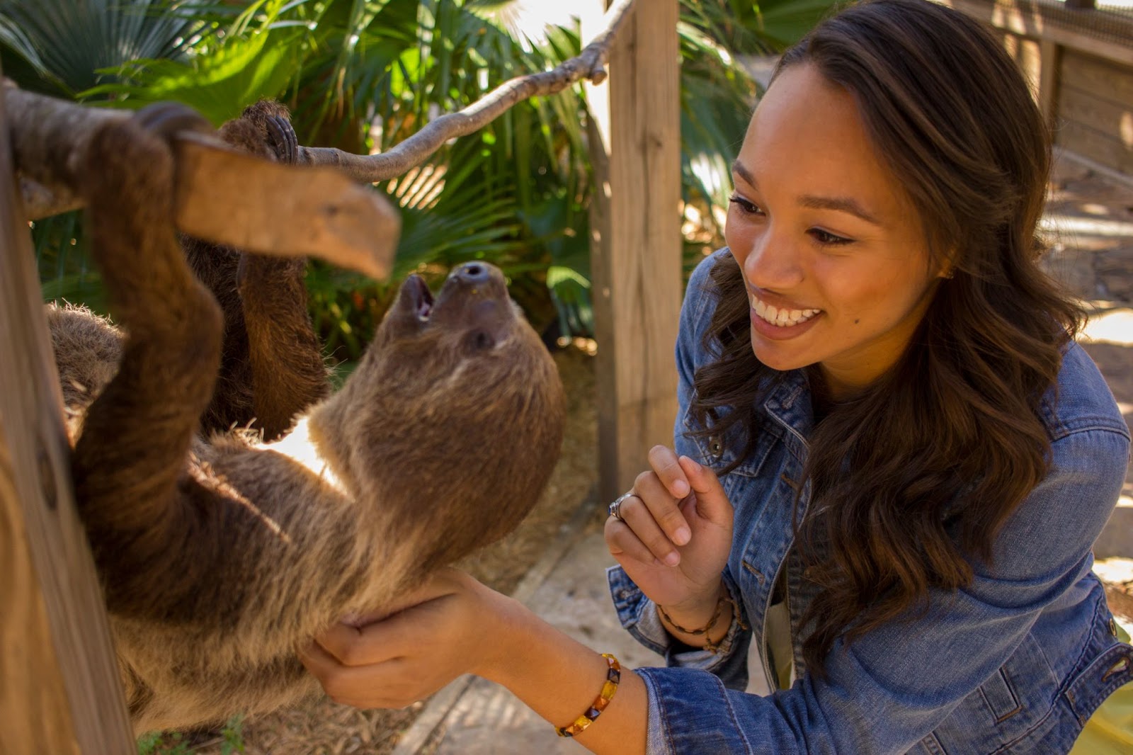 A woman gets to pet a sloth at Wild Florida's Gator Park