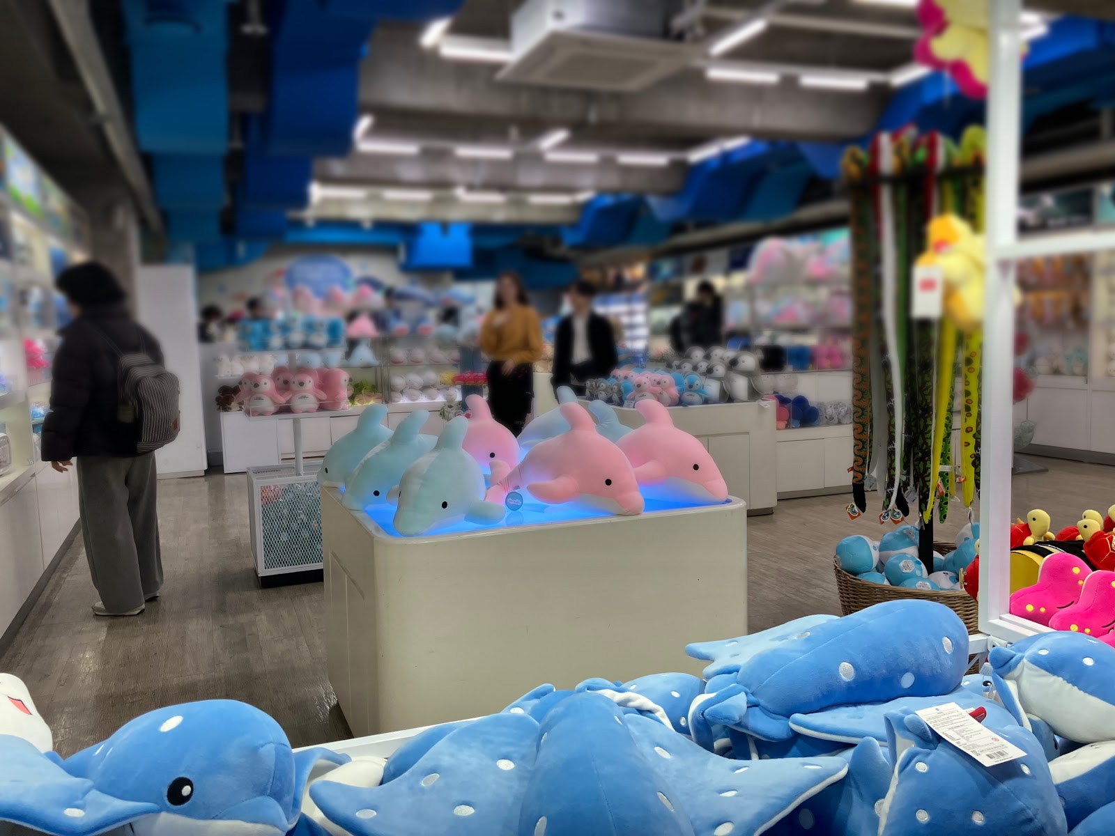 子連れ韓国にもデートにも！韓国最大級の水族館【COEX AQUARIUM】に行ってみた COEX MALL