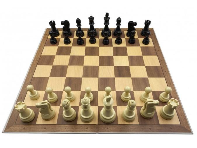 Une image contenant Jeux et sports d’intérieur, pièce de jeu d’échecs, jeu de plateau, échecs

Description générée automatiquement