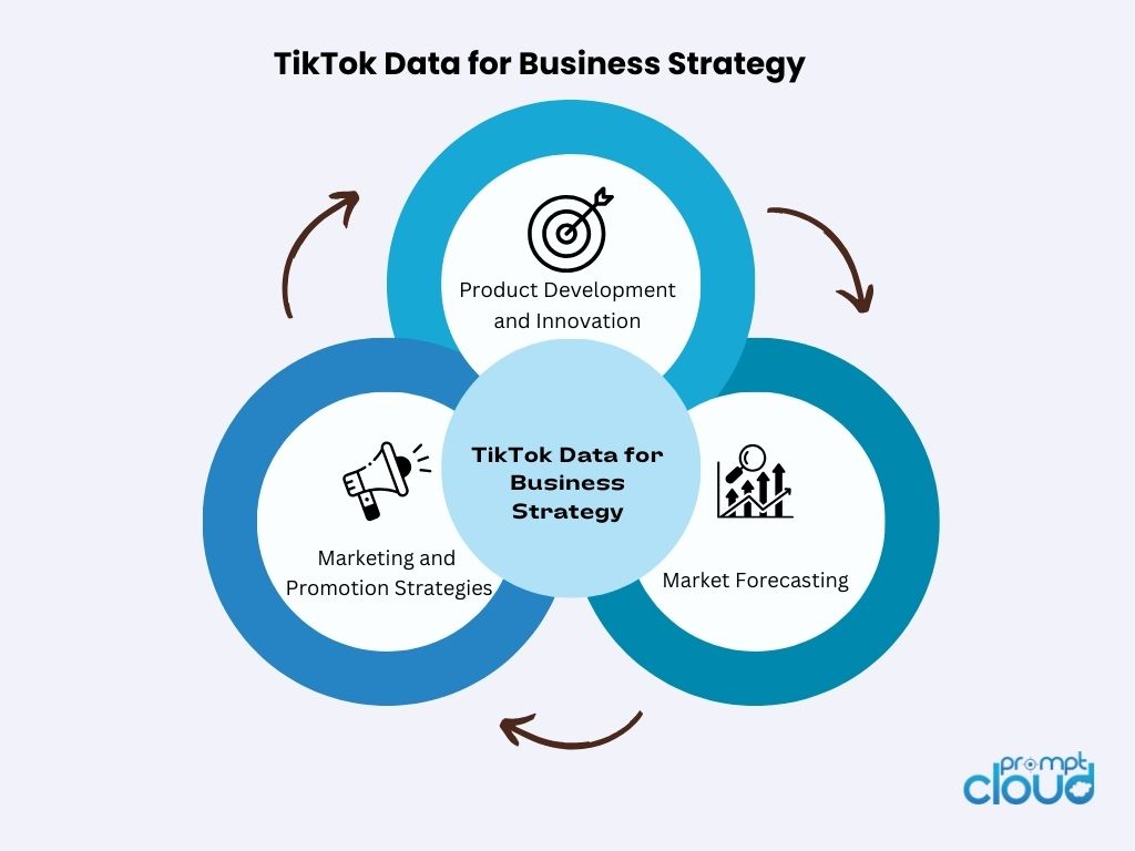 Leveraging TikTok Data for Business Strategy