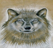 Wolf art drawing 

