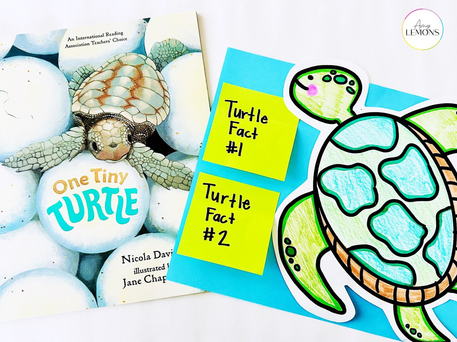 The book One Tiny Turtle with a sea turtle directed drawing and an identifying facts activity.