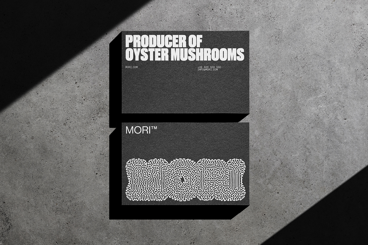 branding packaging design Logotipo Logotype visual identity Brand Design oyster mushroom