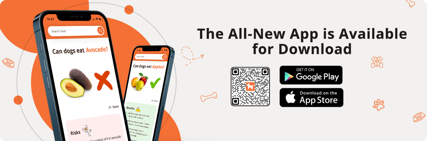 A cell phone with a qr code

Description automatically generated