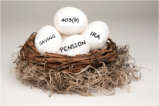 Eggs marked with IRA, pension, savings, 403B in a nest
