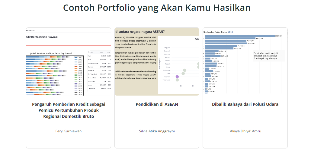 Data Analyst