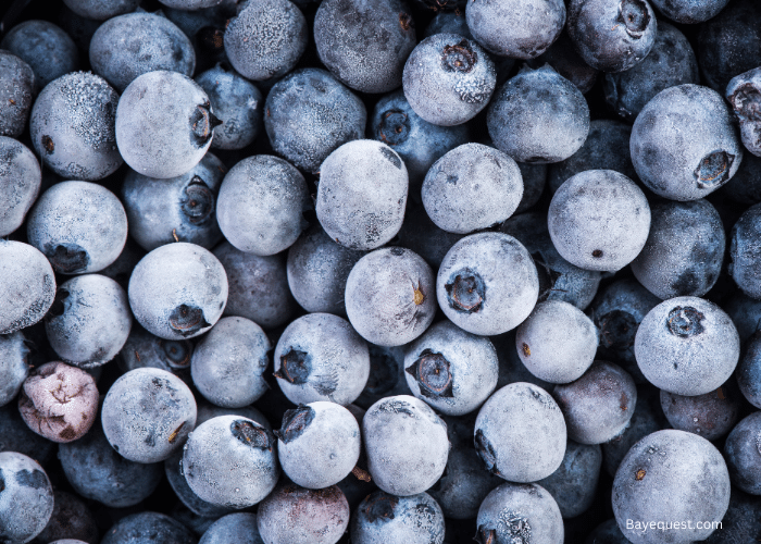 Can Horses Eat Blueberries?