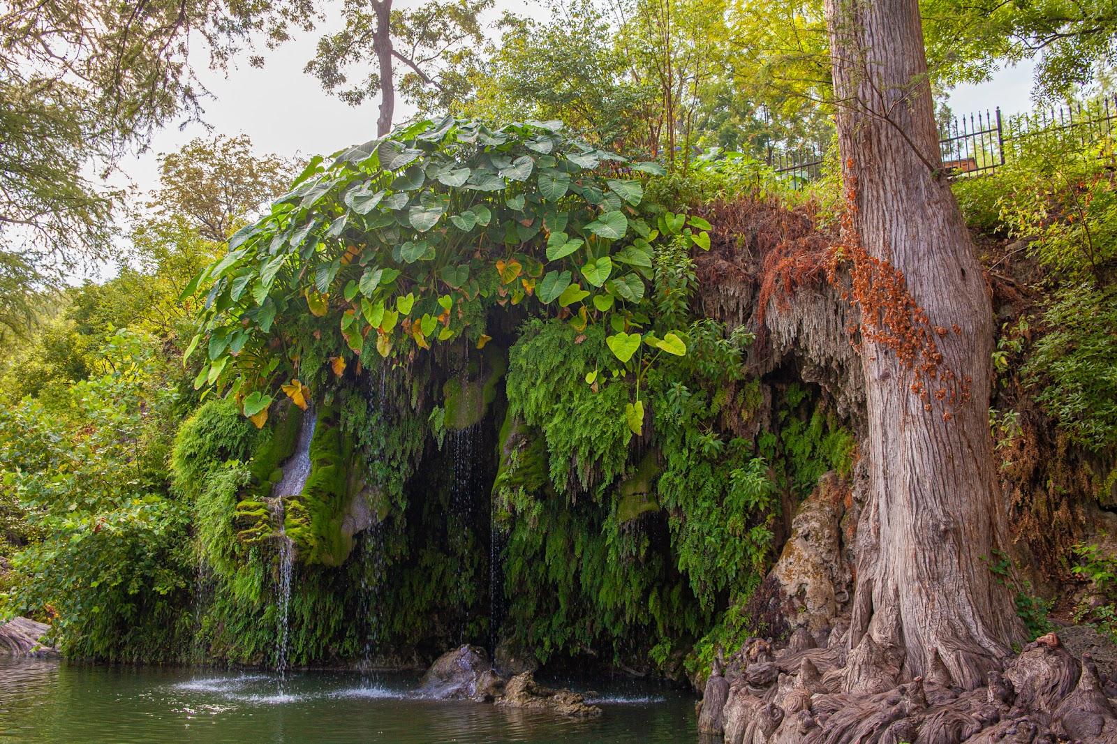 a waterfall in a forest