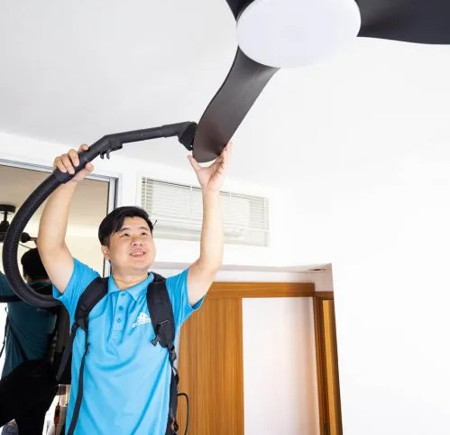 disinfection service
