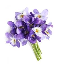 Premium Photo | Bouquet of violets flowers isolated on white