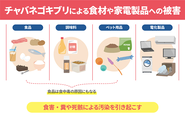 食材や家電製品の被害