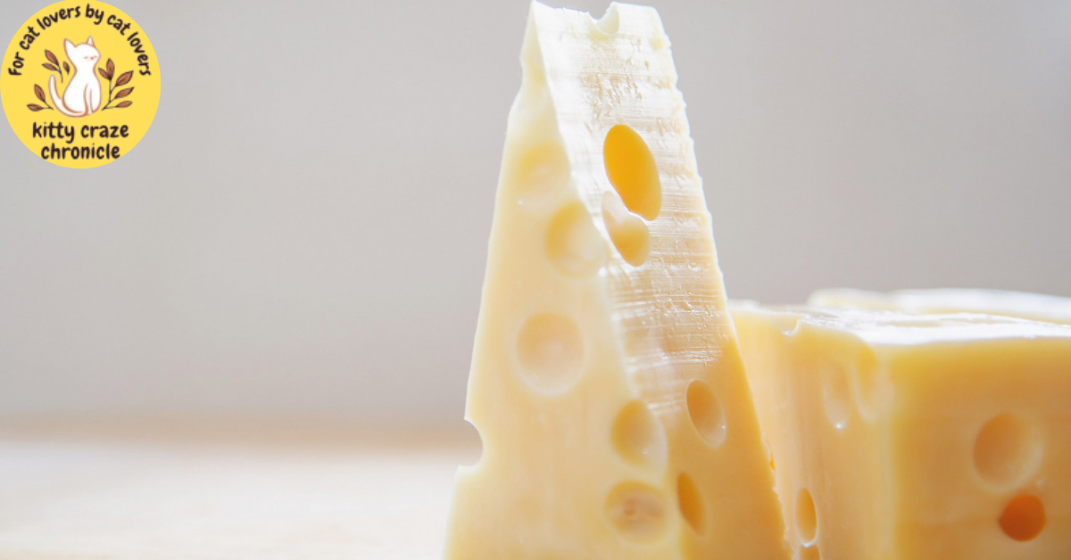 Is non-dairy cheese OK for cats?