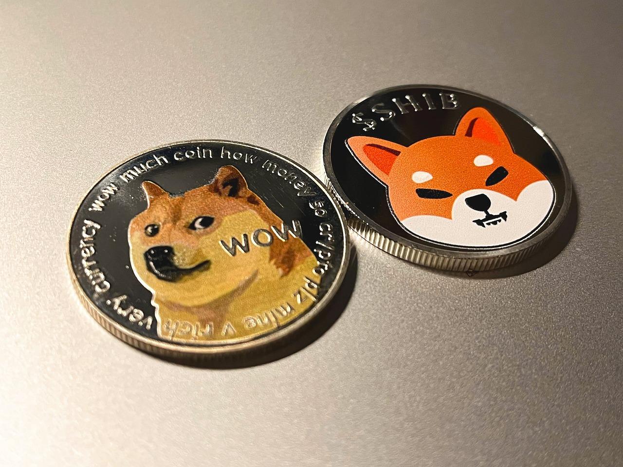 Free Doge Dogecoin photo and picture