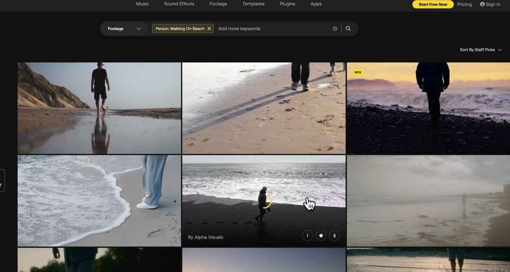 "Person Walking On Beach" used as a search example inside Artlist