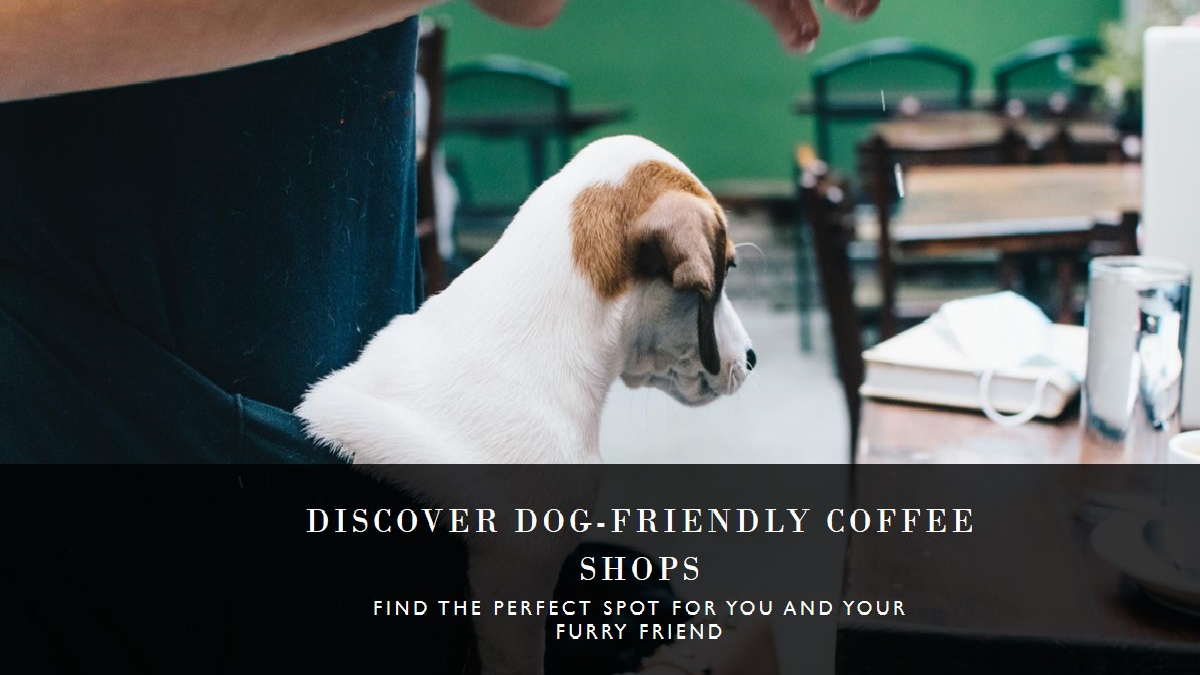 Explain Dog Friendly Coffee Shops Near Me