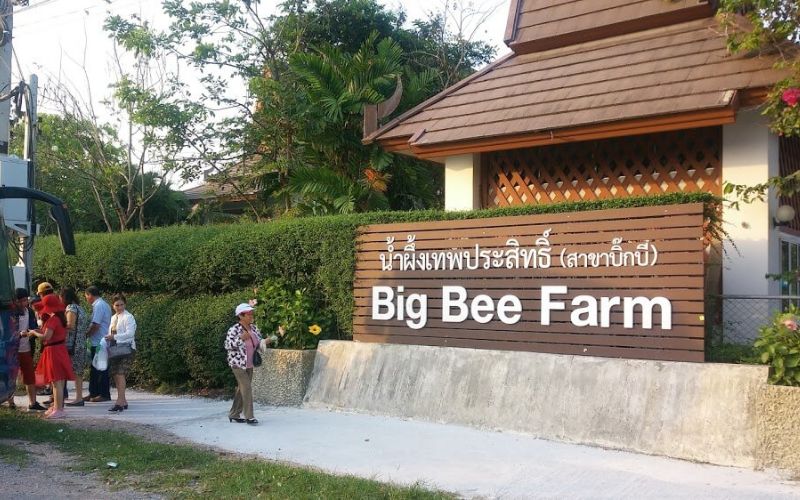 Cổng vào của trại ong Big Bee Farm