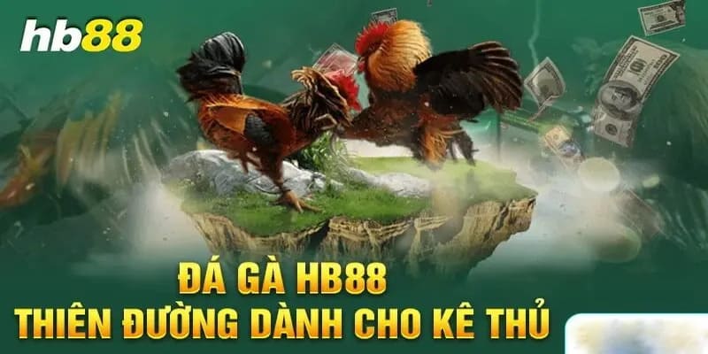 Số lượng trận chiến đá gà HB88 cực khủng trong ngày