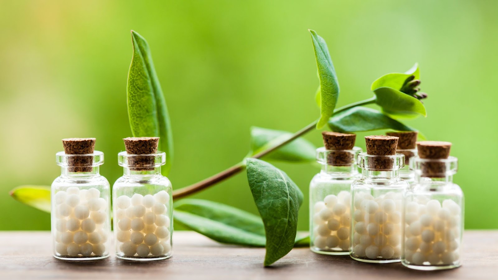 The Difference Between Herbalism and Homeopathy